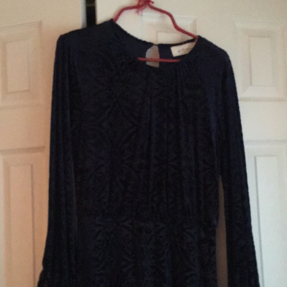 Beautiful velvet burnout blue dress